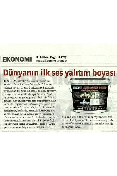 Hürriyet Gazetesi 2013