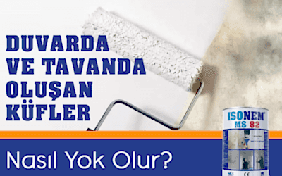 Duvar ve tavanda oluşan küfler için kesin çözüm!